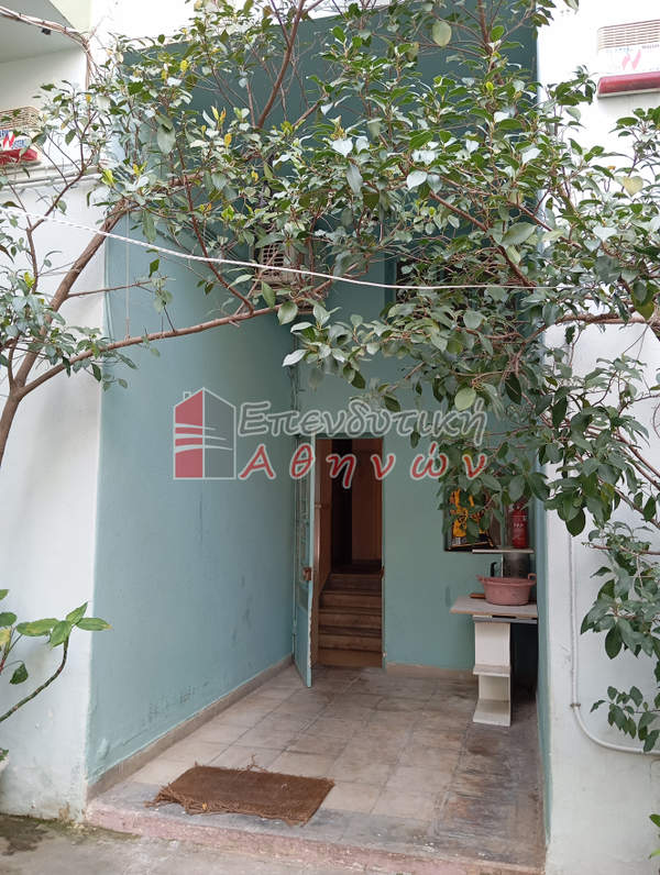 תמונת זוגרפו למכירה (0)