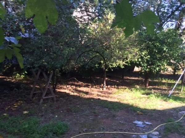 תמונת פילותאי למכירה (0)