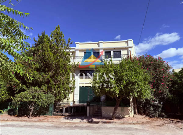 תמונת טברוס, אתונה למכירה (0)