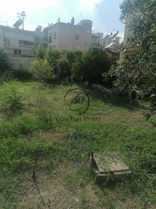 תמונת הרקליו למכירה (0)