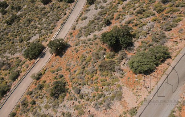 תמונת אגיוס ניקולאוס , כרתים למכירה