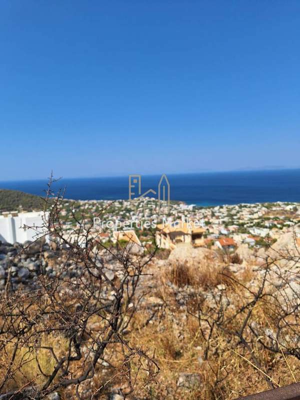 תמונת סרוניקוס למכירה (1)