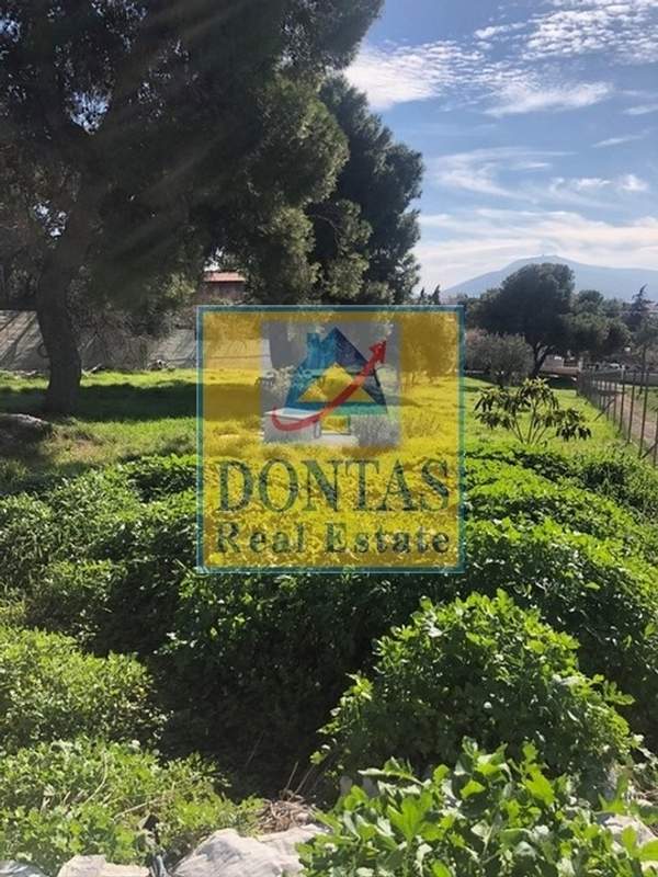 תמונת מליסייה, אתונה למכירה (0)