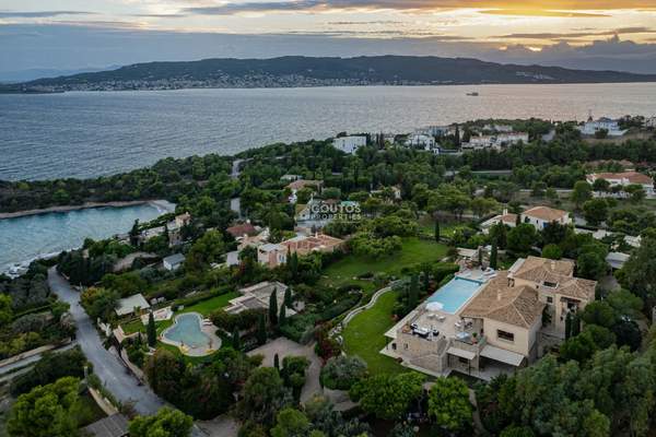 תמונת ארמיונידה למכירה (1)