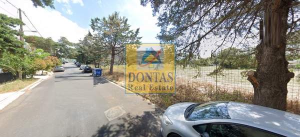 תמונת קיפיסיה למכירה (1)