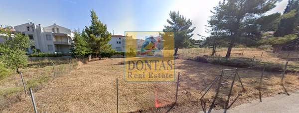 תמונת נאה אריטאריה, קיפיסיה למכירה (0)