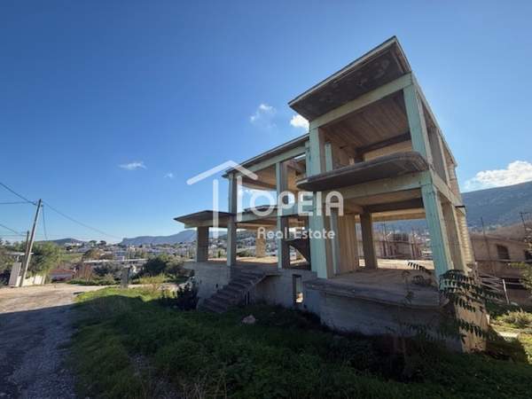 תמונת פורטו ראפטי, מרקו פולו למכירה (1)