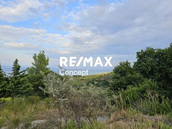 תמונת זקינתוס למכירה (0)