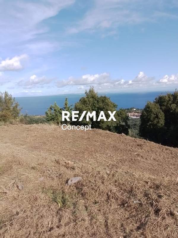 תמונת זקינתוס למכירה (1)