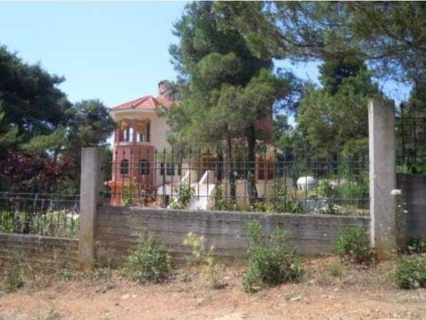 תמונת אורופוס, אתונה למכירה (0)