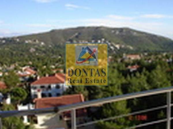 תמונת דיוניסוס למכירה (0)