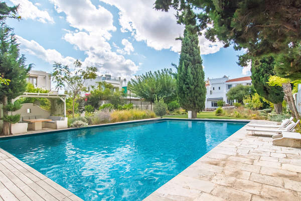 תמונת ראפינה - פיקרמי למכירה (0)