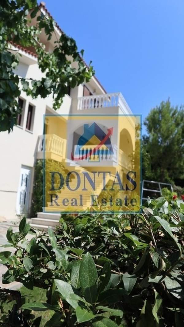 תמונת דיוניסוס, אתונה למכירה (0)