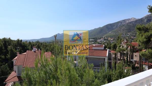 תמונת דיוניסוס, אתונה למכירה (1)