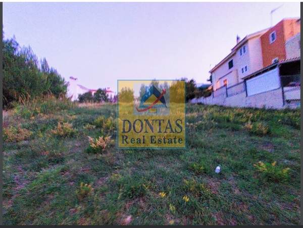 תמונת דיוניסוס למכירה (0)