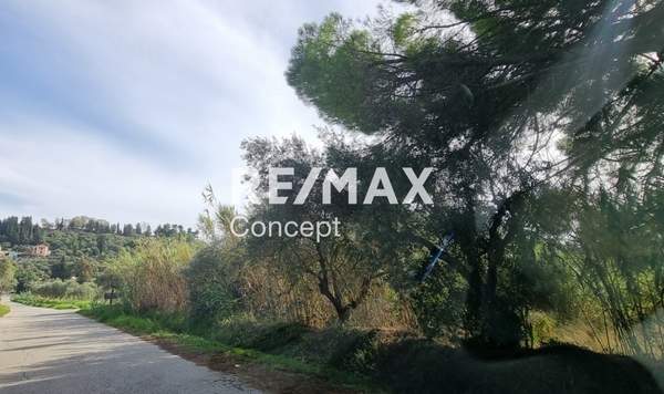 תמונת רשות מקומית זקינתוס למכירה