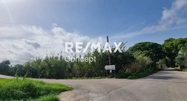 תמונת רשות מקומית זקינתוס למכירה