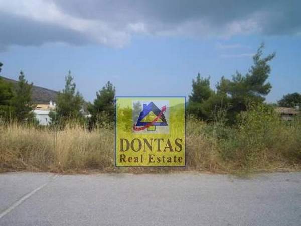 תמונת דיוניסוס למכירה (0)