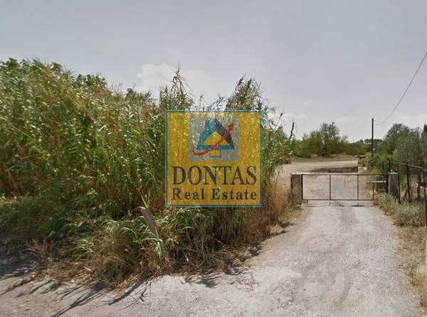 תמונת מרוסי, אתונה למכירה (0)