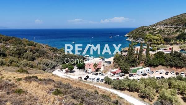 תמונת זקינתוס למכירה (0)