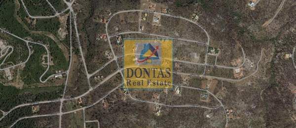 תמונת אורופוס למכירה (0)