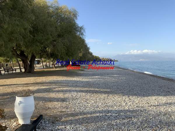 תמונת איגאליאה, פלופונס למכירה (1)