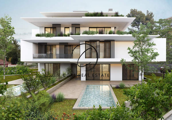 תמונת קיפיסיה למכירה (0)