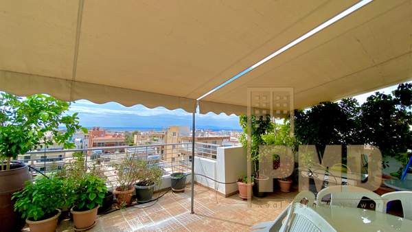 תמונת גליפדה, אתונה למכירה (1)