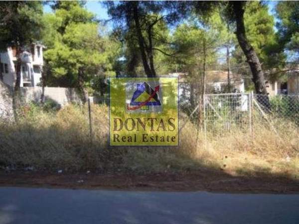 תמונת דיוניסוס, אתונה למכירה (1)