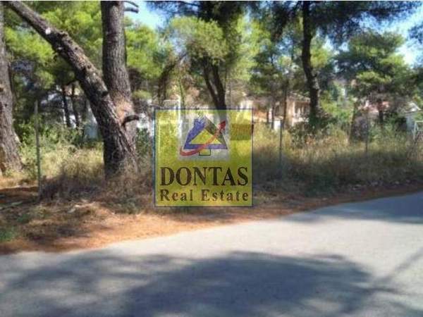 תמונת דיוניסוס, אתונה למכירה (0)