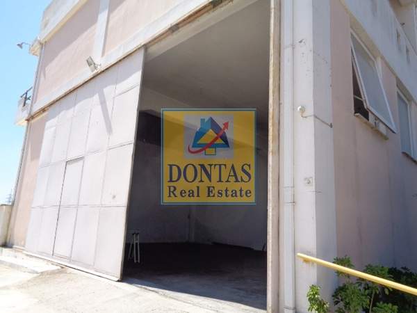 תמונת אכרניס למכירה (0)