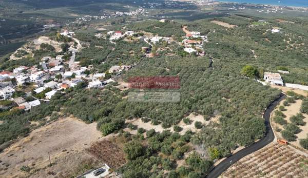 תמונת קיסאמוס למכירה (0)