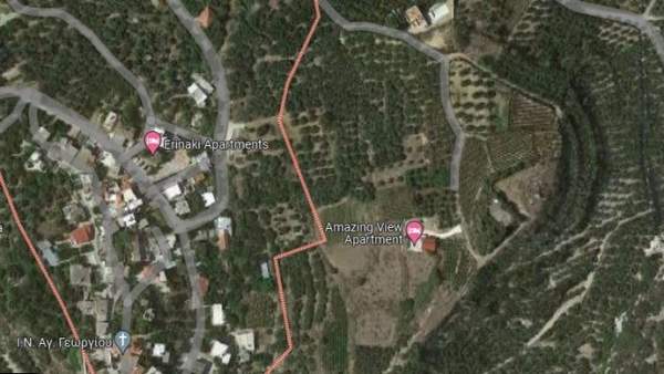 תמונת קיסאמוס למכירה (1)