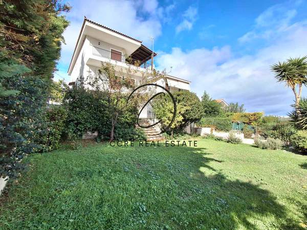 תמונת ראפינה - פיקרמי למכירה (0)