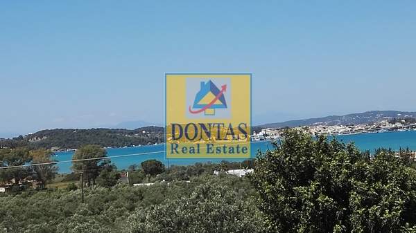 תמונת ארמיונידה, פלופונס למכירה (0)