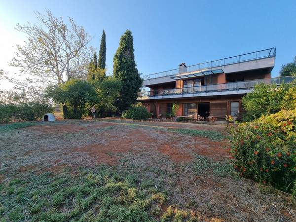 תמונת קיפיסיה למכירה (0)