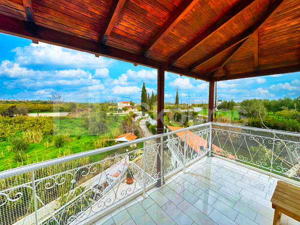 תמונת קסילוקסטרו ואברוסטינה למכירה