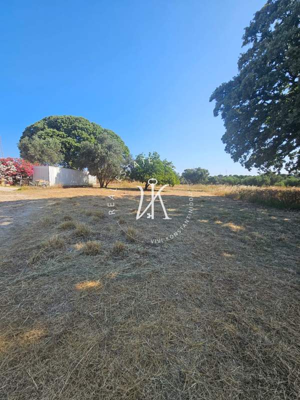 תמונת רשות מקומית רודוס למכירה