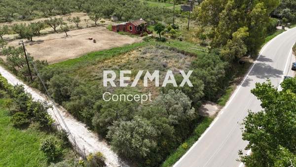 תמונת זקינתוס למכירה (1)