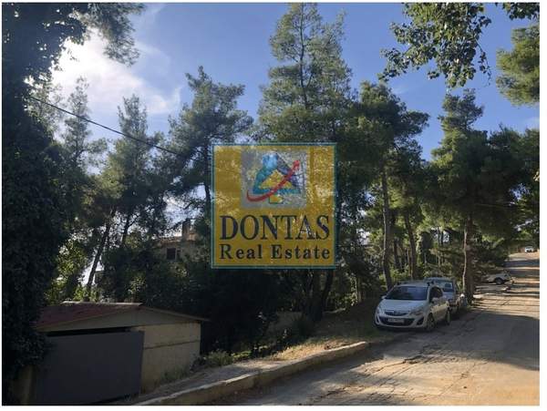 תמונת דיוניסוס למכירה (1)