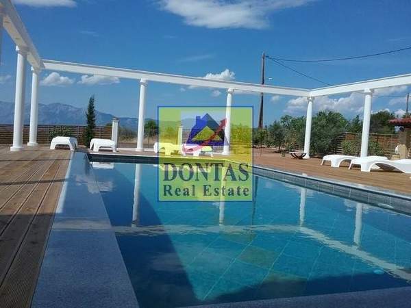 תמונת כלקיס (דרום) למכירה (0)