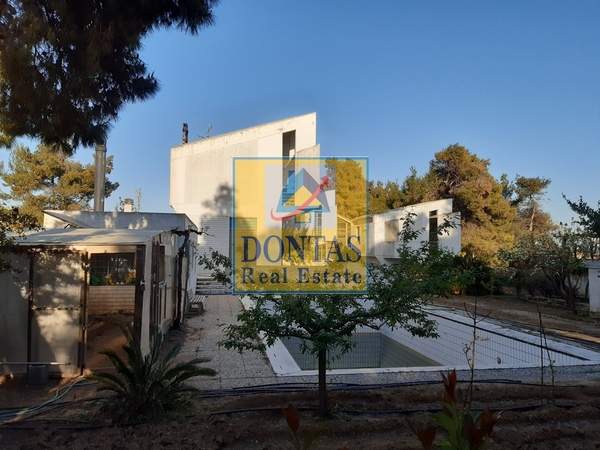 תמונת דיוניסוס, אתונה למכירה (1)