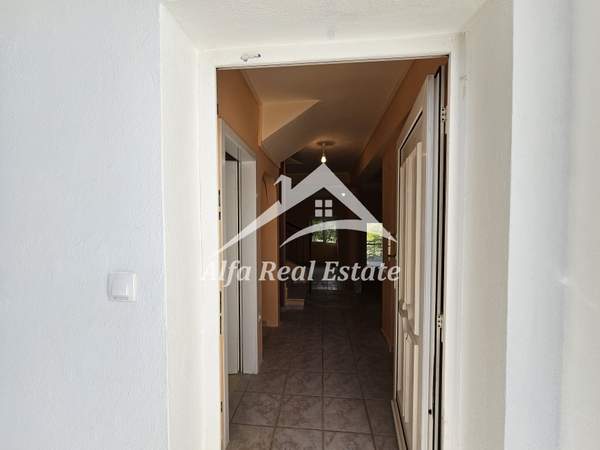 תמונת פריאה, תרמיקוס למכירה (0)