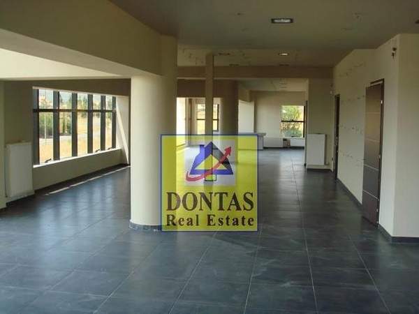 תמונת אורופוס, אתונה למכירה (1)