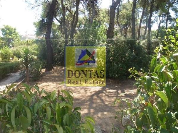 תמונת קיפיסיה, אתונה למכירה (0)