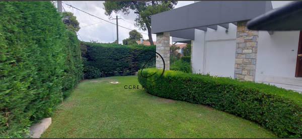 תמונת קיפיסיה, אתונה למכירה (1)