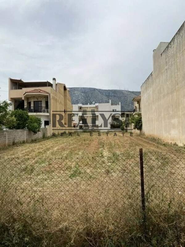 תמונת קורופי, אתונה למכירה (1)