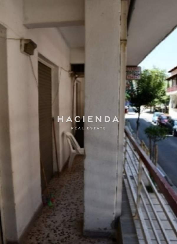 תמונת אמבלוקיפי - מנאמני למכירה (1)