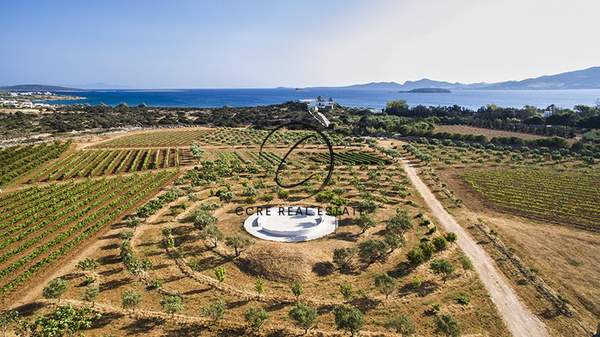 תמונת פארוס למכירה (0)