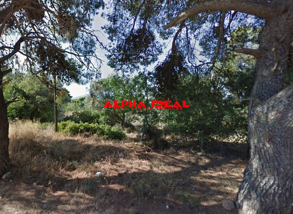 תמונת מרוסי, אתונה למכירה